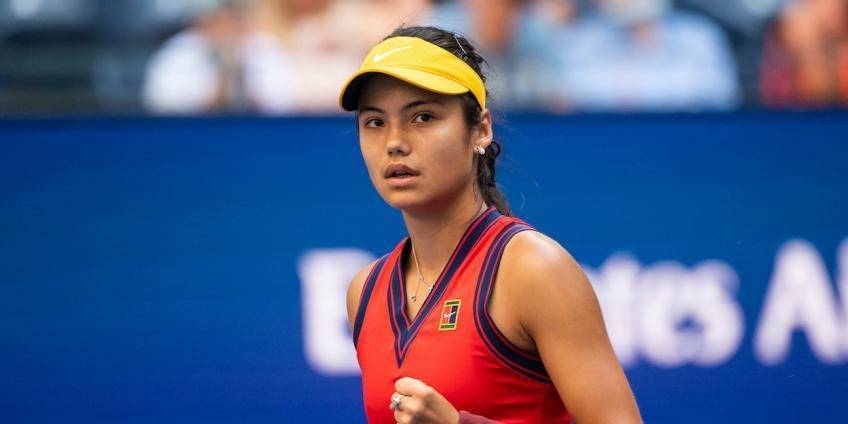 供更多创造 供更多创造