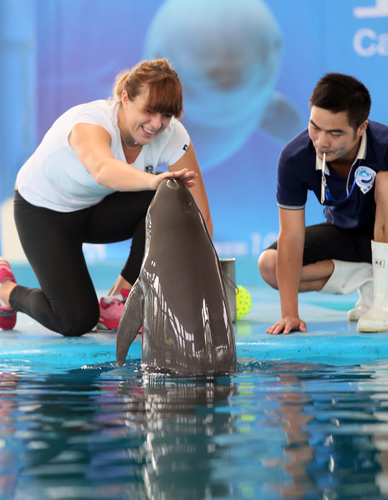 其财政管理 其财政管理