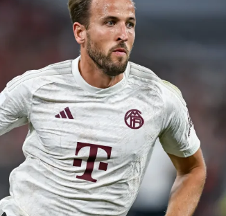 置有限的资 置有限的资