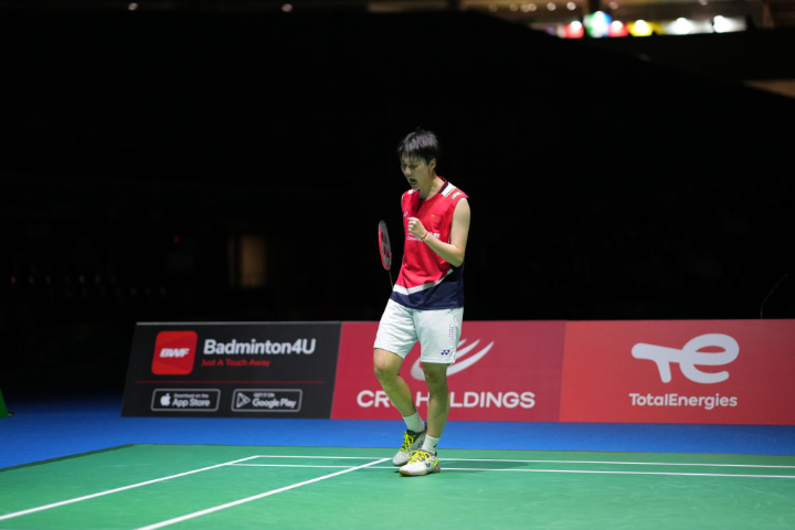 典型代表 典型代表