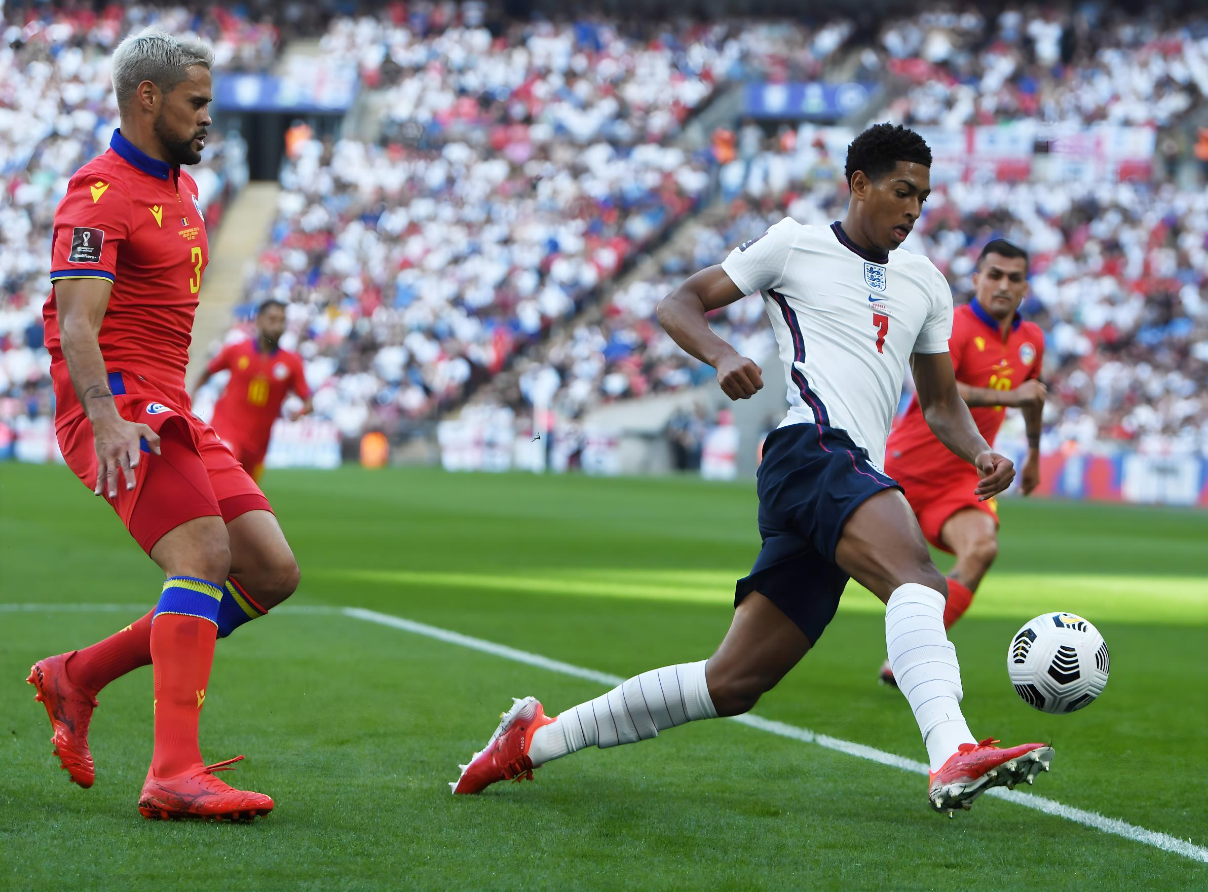 意在同伴面 意在同伴面